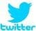 Stylized blue Twitter bird logo and wordmark