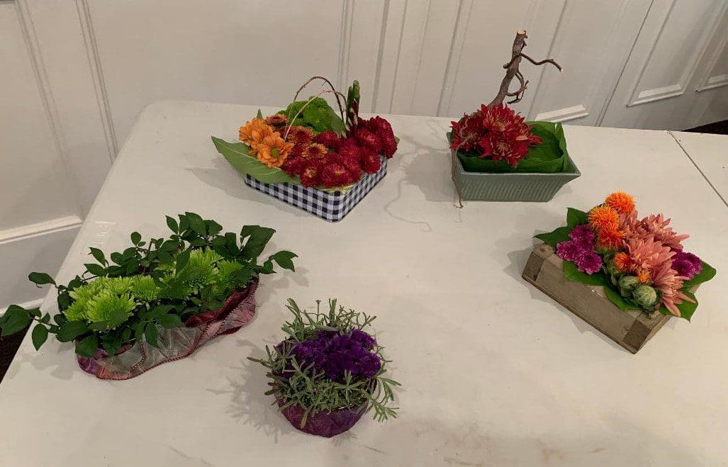 A table with several different types of plants in bowls.