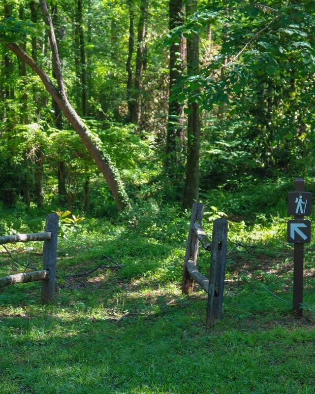 A trail sign in the middle of a forest.