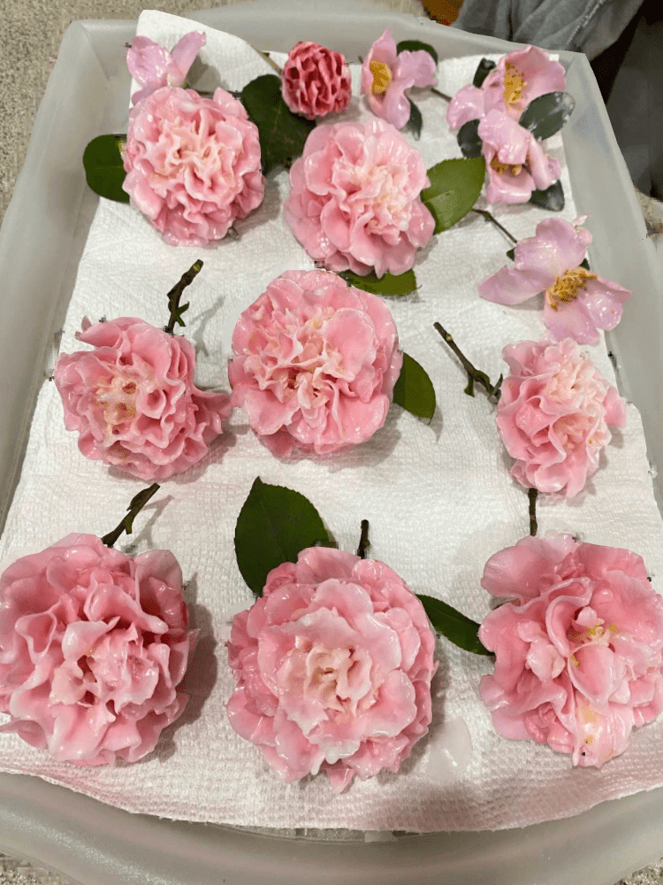 A tray of pink flowers on top of white paper.
