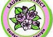 Laurel District Image