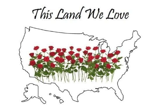 A map of the united states with red roses in it.