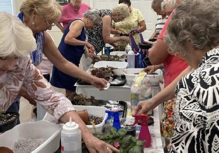 Seniors potting plants at community gardening workshop