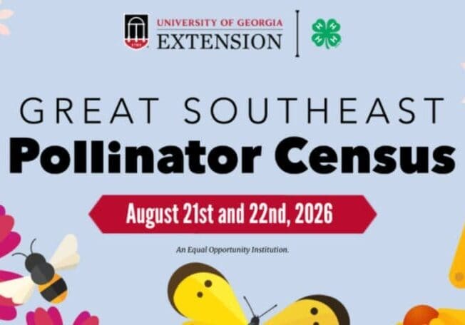 Great Southeast Pollinator Census event poster