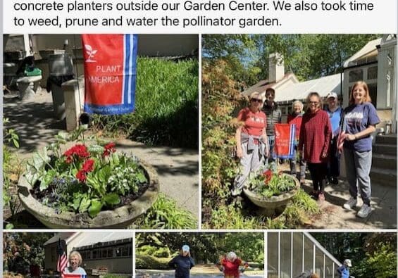 Volunteers planting red, white, blue flowers